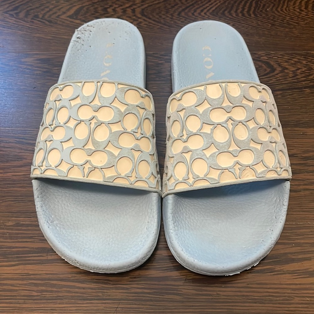 Coach Udele Slides